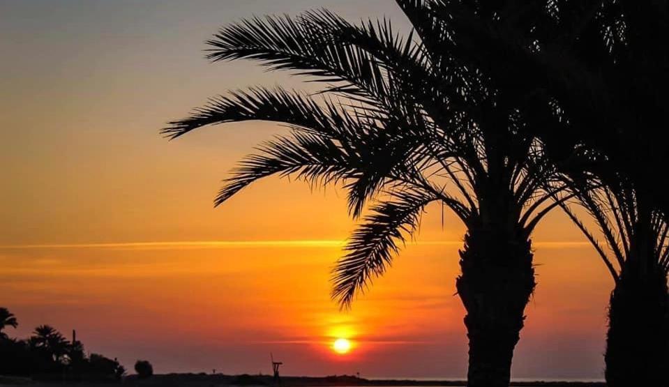 Casa Del Mar Daire Santa Pola Dış mekan fotoğraf